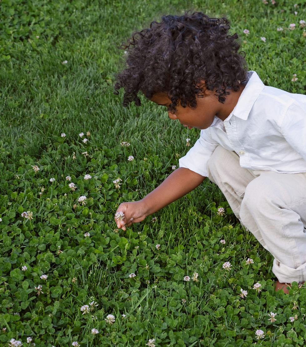 high-angle-kid-picking-flowers-outdoors_edited_edited_edited