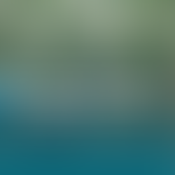 Five Smart Income Strategies Every Retiree Should Consider