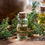 Thumbnail: Thyme Oil