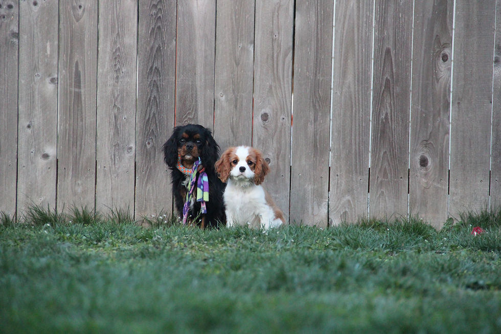 Truman and Christopher