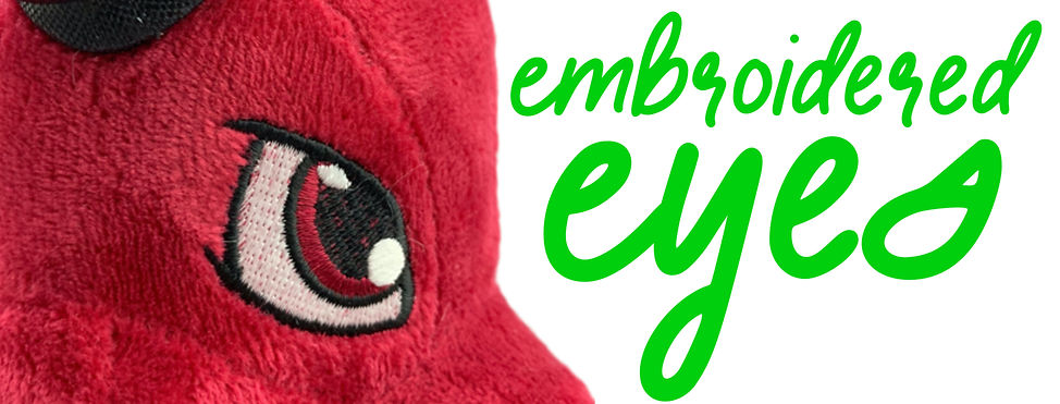 Embroidered Eyes - Website Banner.jpg