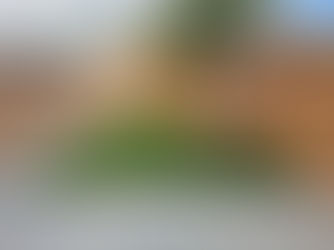 Garden Maintenance in Southend: How to Care for Your Garden Through Winter