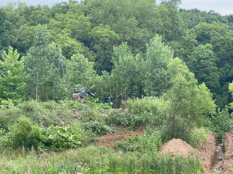 Excavator clearing wooded area