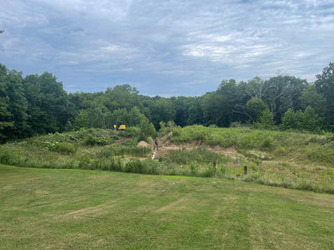 Excavator digging trench in wooded area