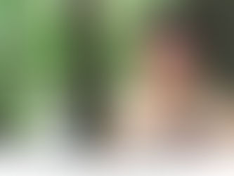 A Journey To Balance