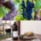 Shiraz