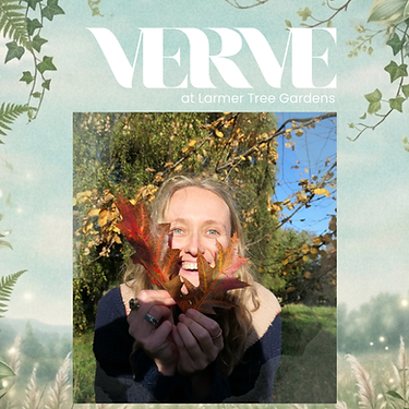 VERVE performer annoucement (Instagram Post (45)).png