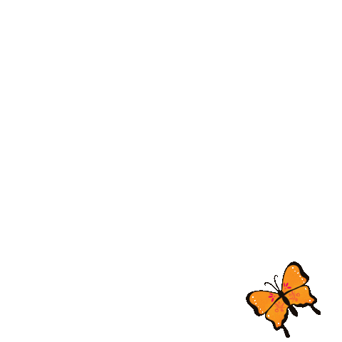 giphy (1).gif