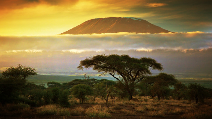 #20 - CURIOSITA'...KILIMANJARO ADVENTURE!