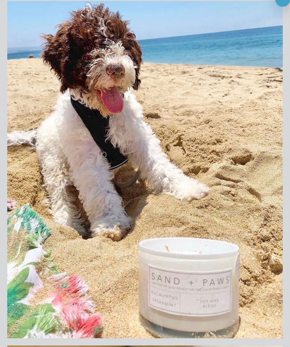 Sand and Paws Candle 
