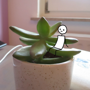 Animatie