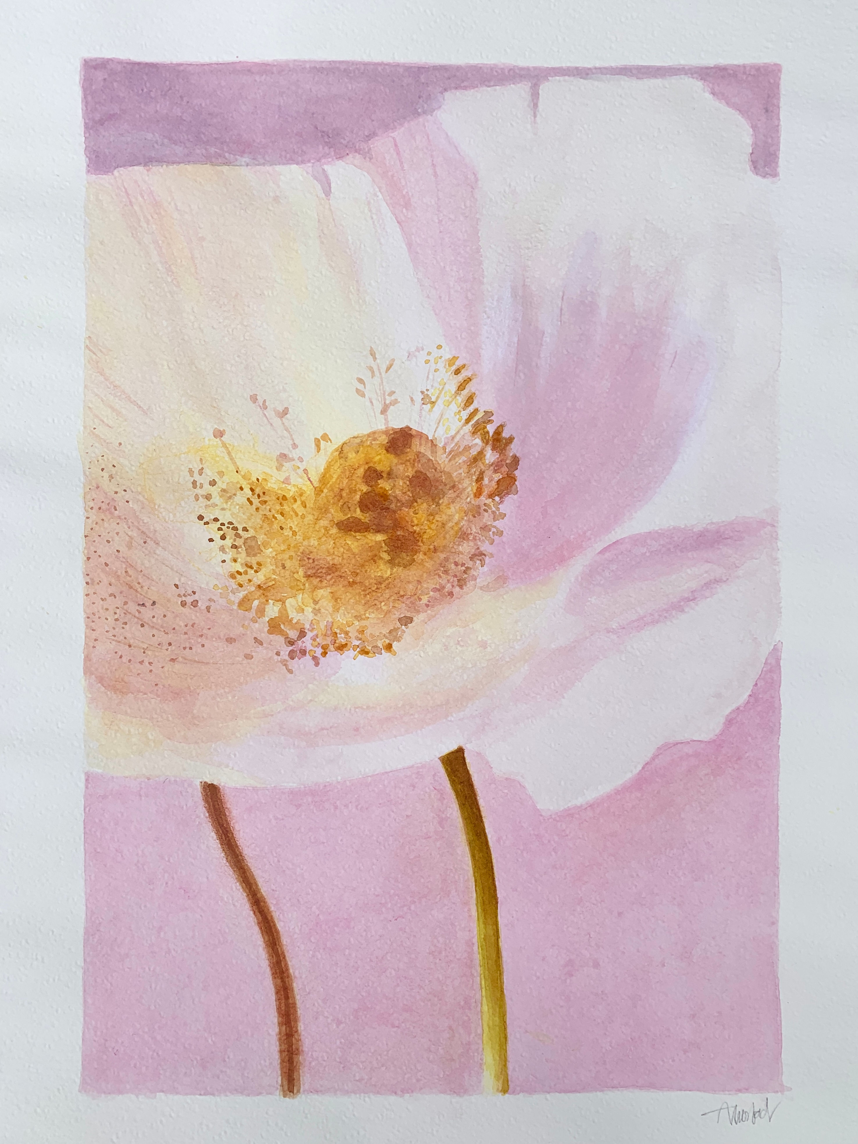 Akvarell - en blomst