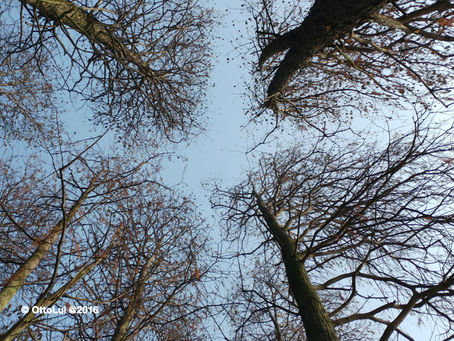 堂會可如何轉變?