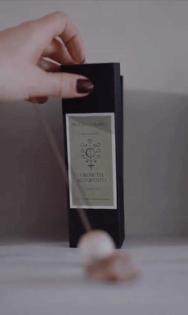 incense sticks M+C.gif