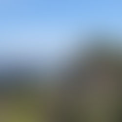 RANDONNEE DU PRINTEMPS - "LE TOUR DES MARRES"      SAMEDI 28 MARS 2026