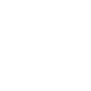 Linked In Icon