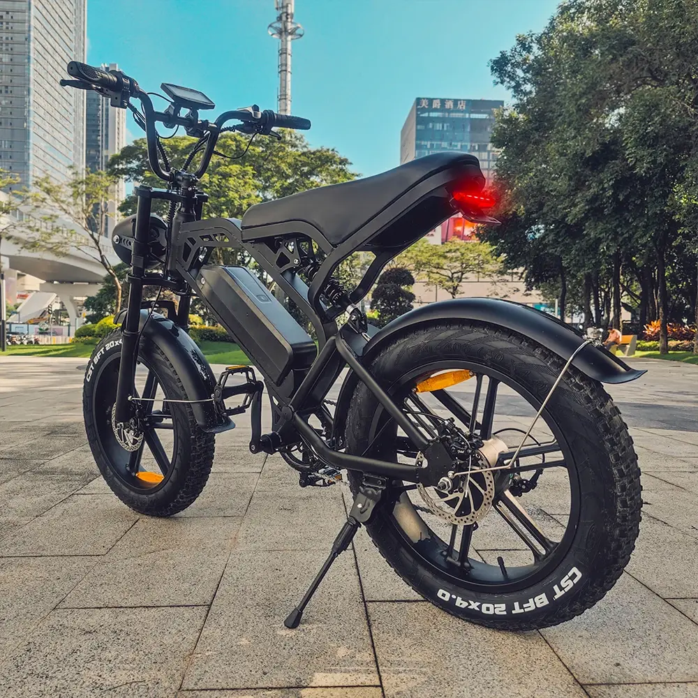 250w Cheap Electric Bicycle Dirt Bike Mountain Electric Fat Tire Ebike