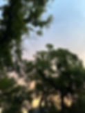 IMG_1883.jpeg