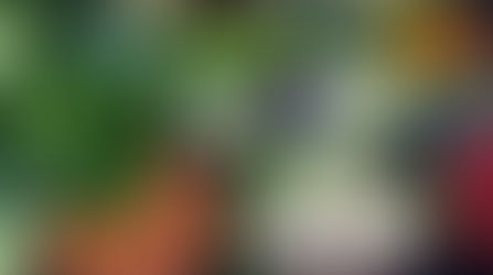 The Rise of Meatless Monday