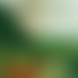 Album Review: Fruit Bats - ‘The Landfill’