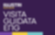 Visita Guidata - ENG Illustri