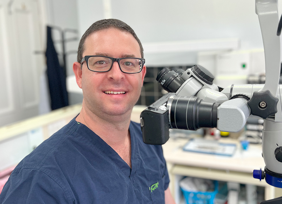 Dentistry Cleveland Terrace Dental Surgery England