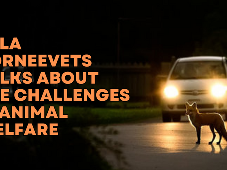 Lola Korneevets talks about The Challenges in Animal Welfare