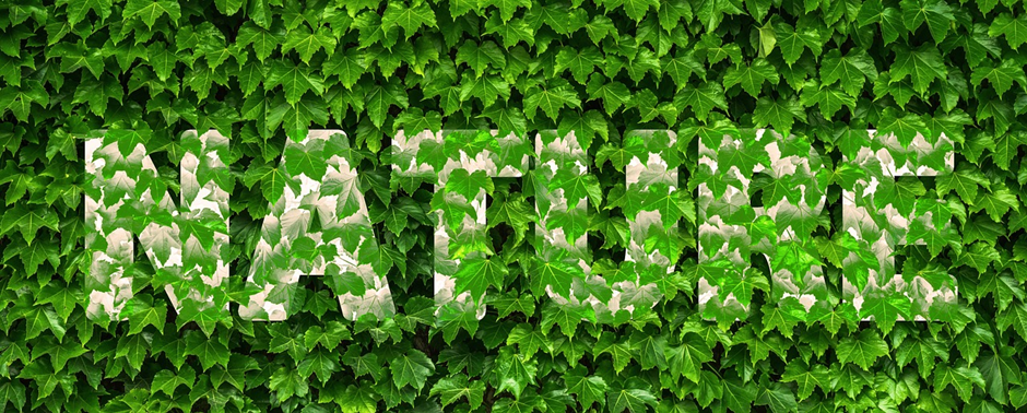 In this article, Summer Elsie discusses the implementation of the Rights of Nature movement - a green based switch following long-term socio-political neglect of the. She covers the countries that have pioneered this shift and broader implications for environmental protection.