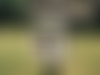 How To Recycle A Book: Little Free Libraries