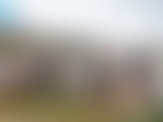 Sustainable and Affordable Lingerie – ELB Lingerie