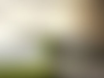 Top 5 Sustainability Documentaries on Netflix