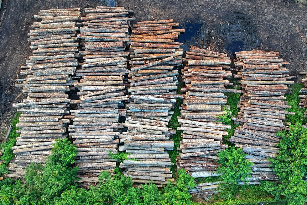 bird-s-eye-view-deforestation-high-1268068.jpg