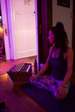 laura harmonium 2