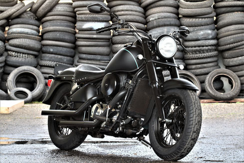 Kawasaki VN800 custom paint