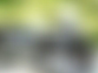 Find the Best Ural Motorcycle Repair Near You