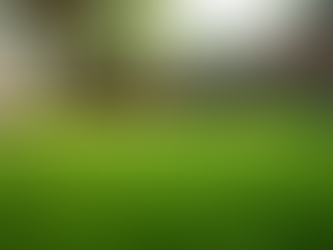 Discover the Appeal of Texas Turf