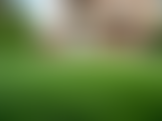 Mastering Artificial Turf Installation Techniques