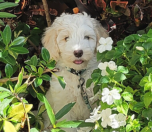 peek a boo_edited.png