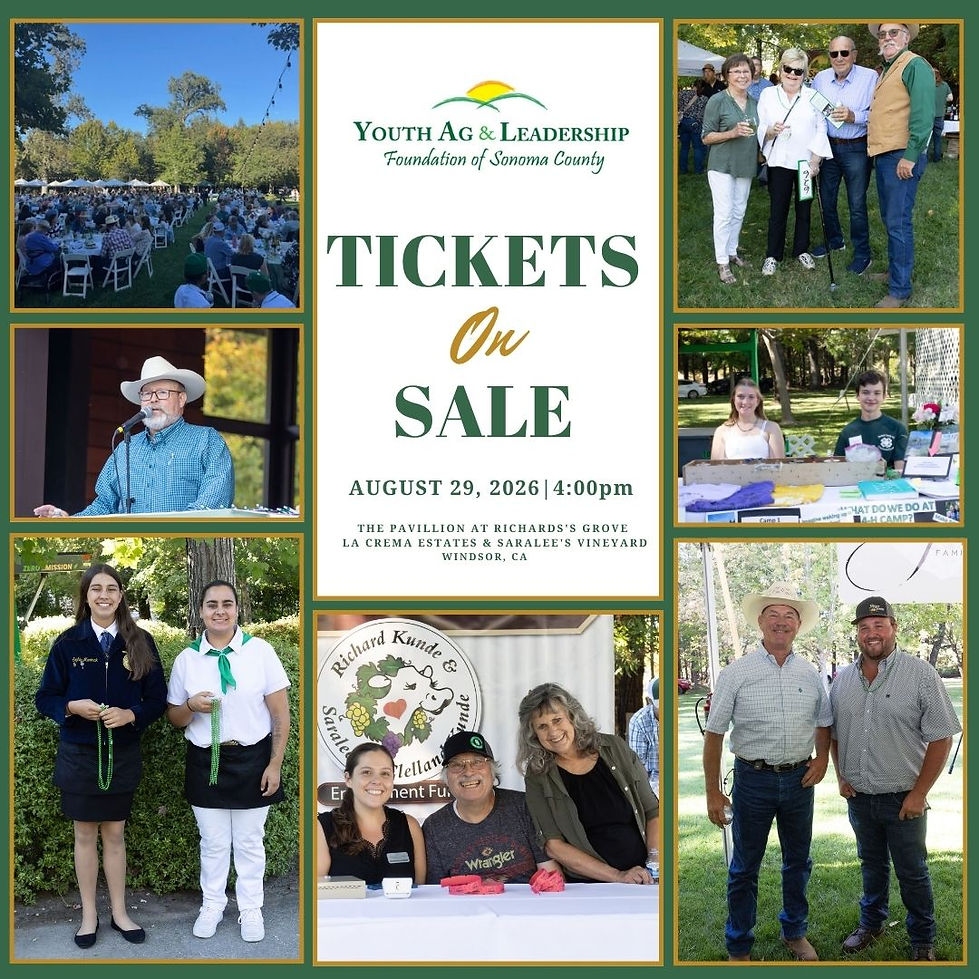 2026 Ticket Sales - Website-2.jpg