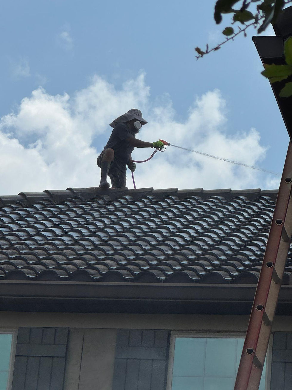 roof algae prevention measures in action