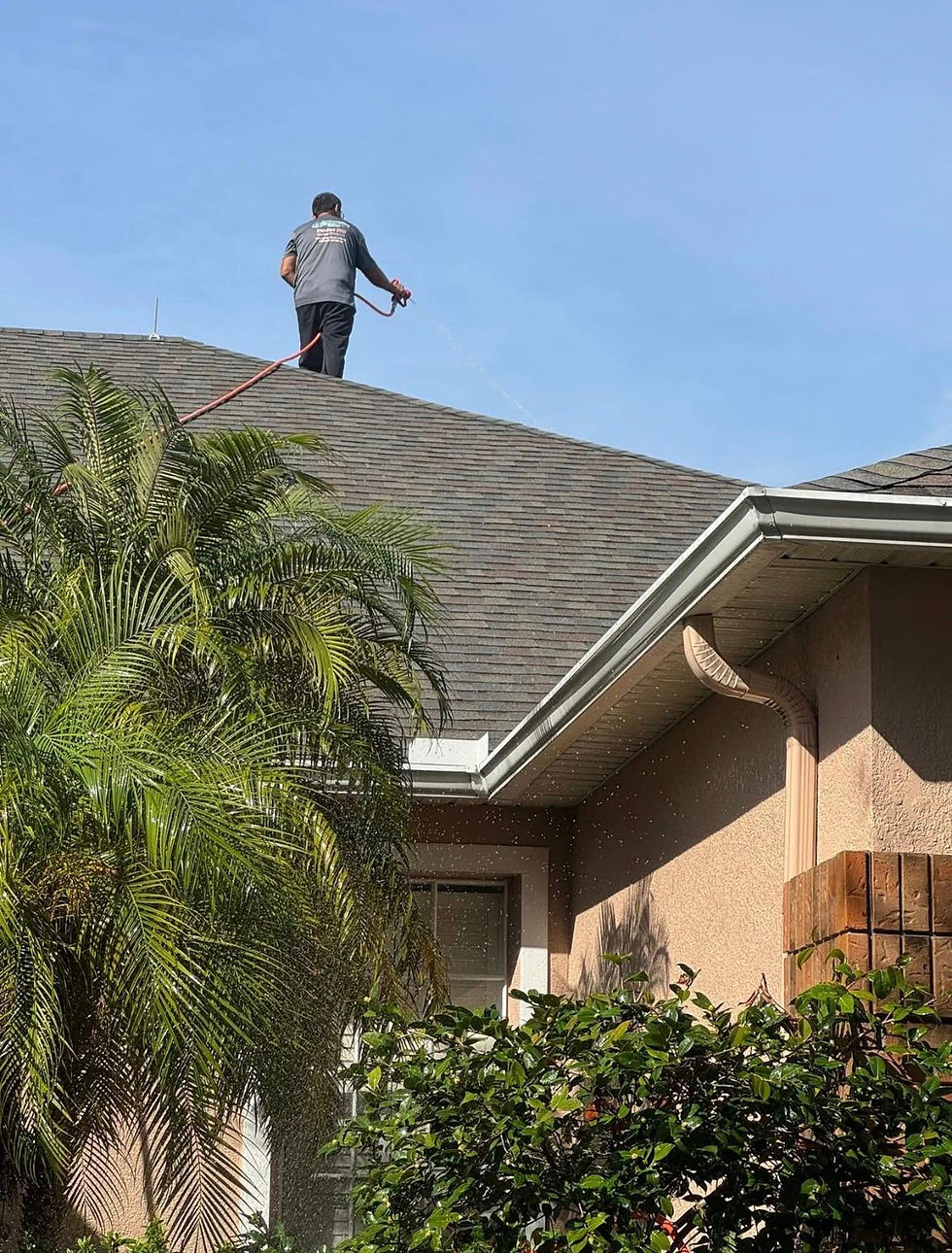 roof algae inspection on residential roof