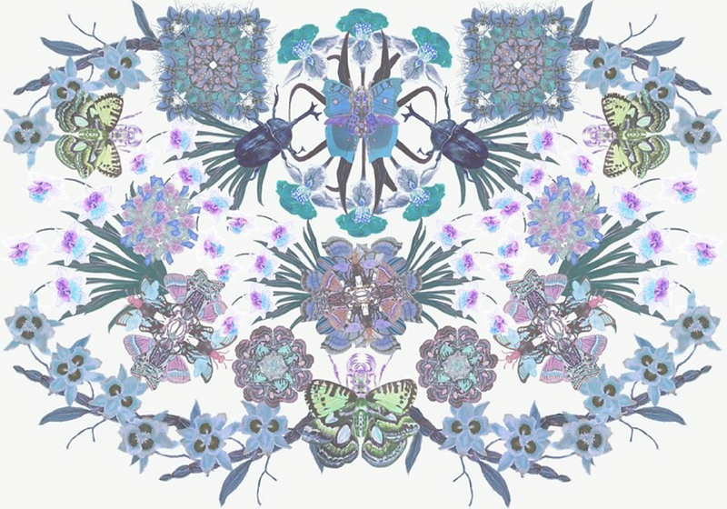 北　久美子【夢想植物園・・・・・・Y】、希少画集画、状態良好 甲秀樹展「青年色の情景」 | midcoro
