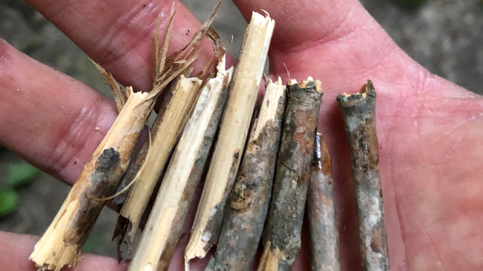Breaking Sticks