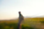 Man in fishing gear stands in grassy meadow at sunrise, holding a fly rod. Mist and mountains in background. Peaceful atmosphere.
