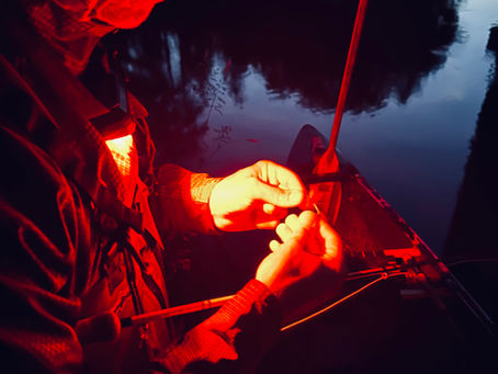 Shot in the Dark