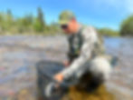 fly angler removing a fish from his net on a river