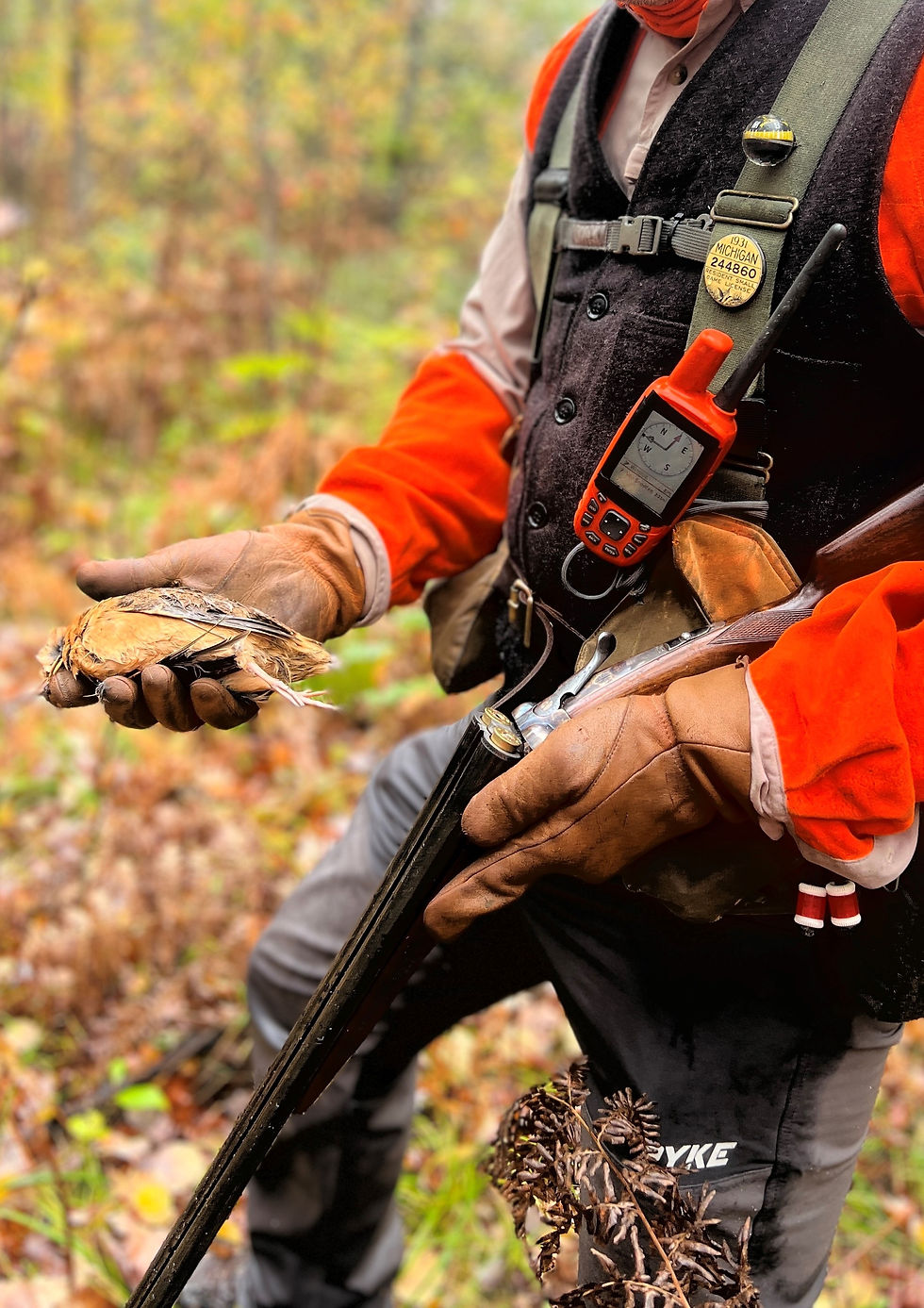 hunter holding shotgun and holding a woodcock