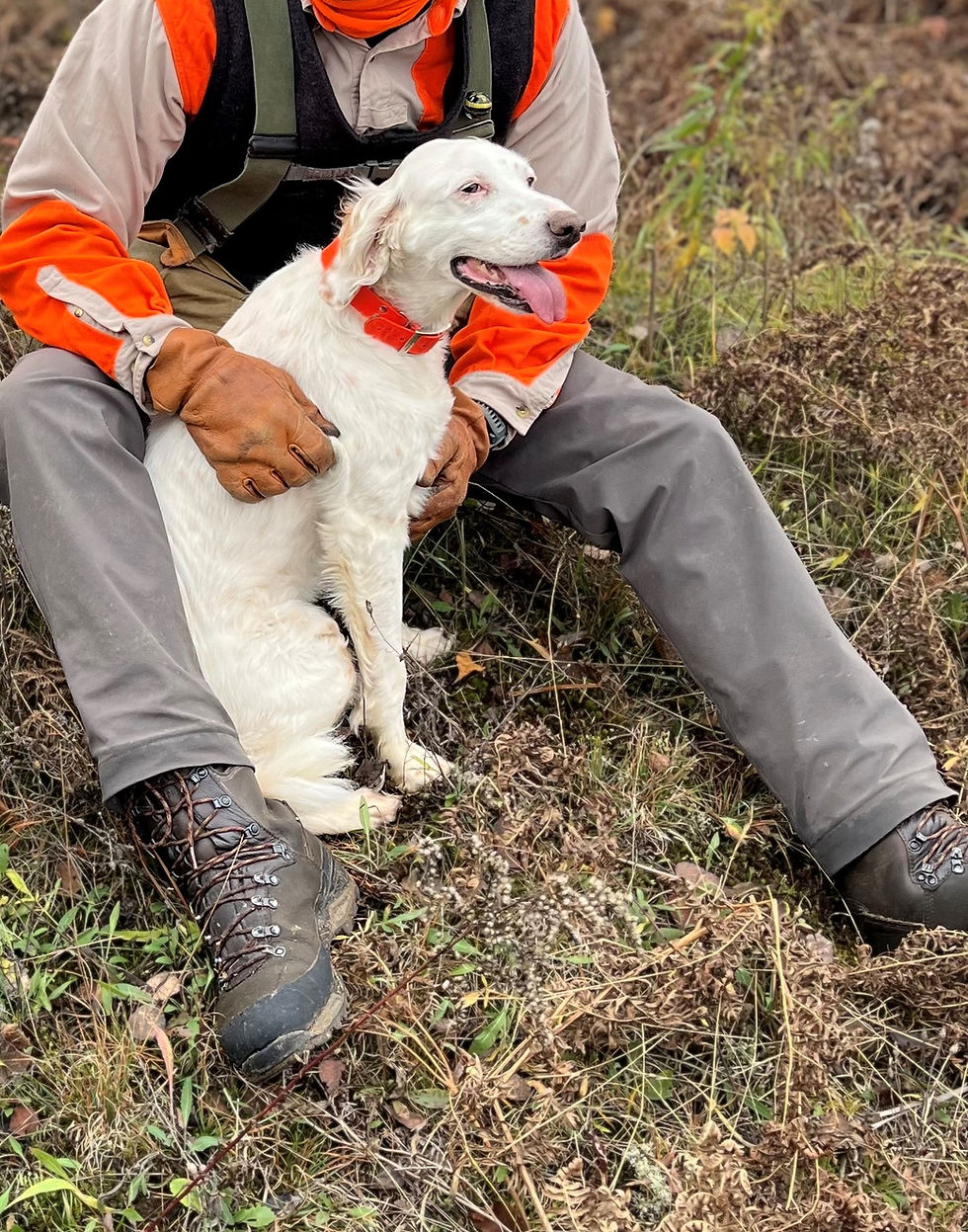 hunter holding a white bird dog in the field