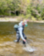 Fly angler landing a trout in a river