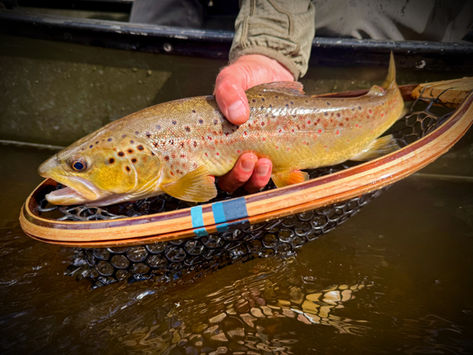 Gear Review – Kinni Forge K2 Landing Net, Sanborn Canoe Limited Edition Collection